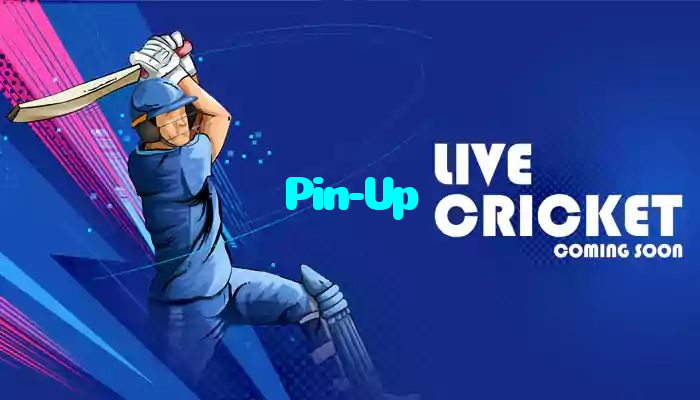 Pin-Up casino presented on mobile device in Pakistan with slots and live games
